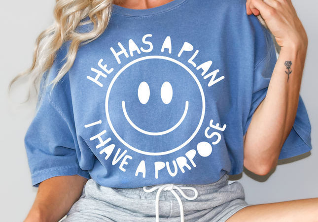 His Plan My Purpose | Comfort Colors Tshirt