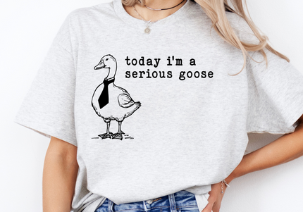 Serious Goose | Gildan TShirt Ash