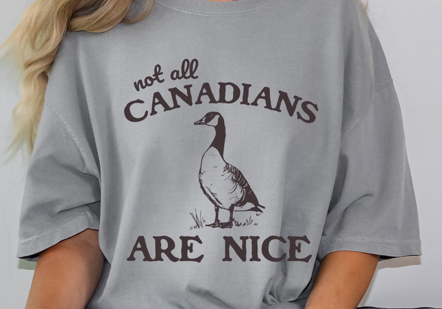 Not All Canadians Are Nice | Canada Goose | Comfort Colors TShirt | Grey