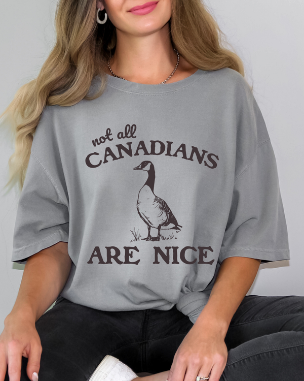 Not All Canadians Are Nice | Canada Goose | Comfort Colors TShirt | Grey