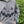 Pumpkin Bats | Hoodie Charcoal